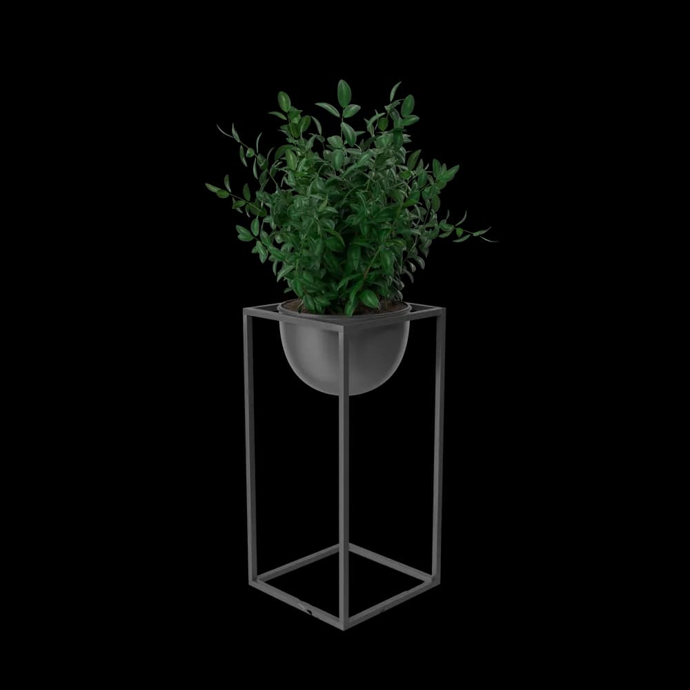 House Showpiece Plant - Vue 2