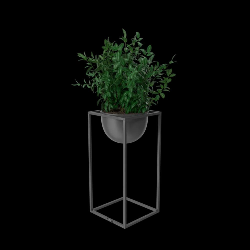 House Showpiece Plant - Vue 3