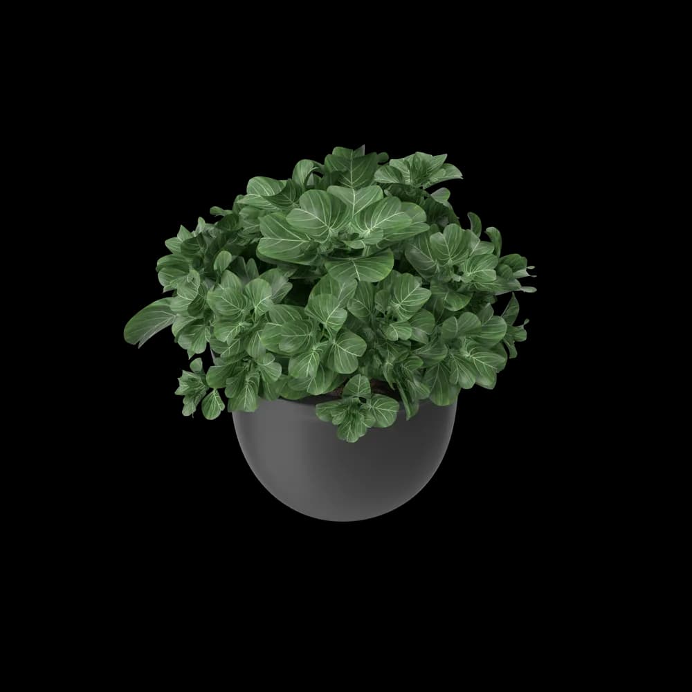Plant Pot - Vue 3